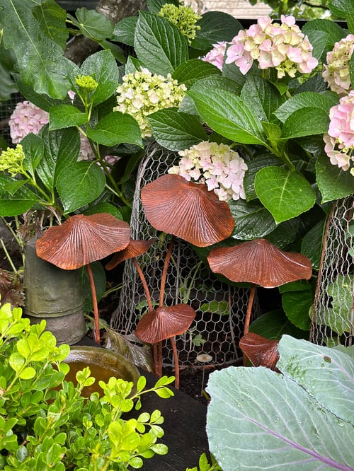 Image of Metal mushroom set/3