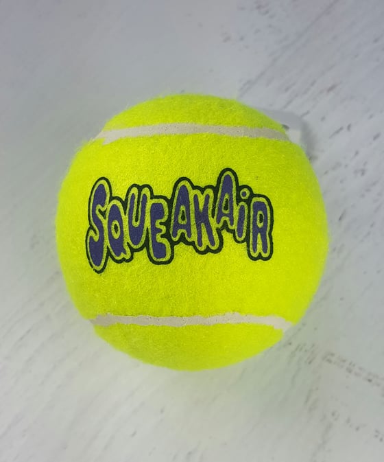 Image of Squeakair Tennis Balls