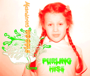Image of PURLING HISS - MEANDERING NOODLE (2016) cassette