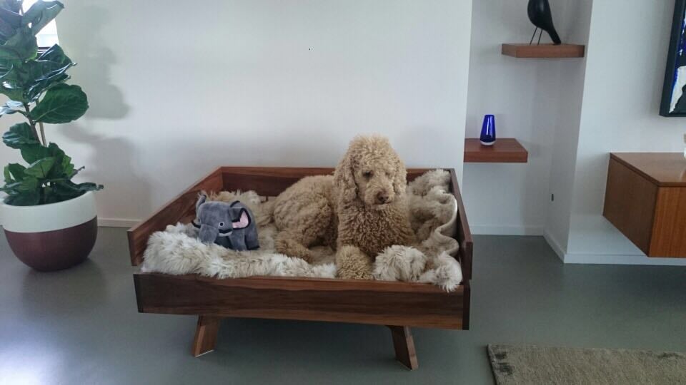 Image of Doggy day bed
