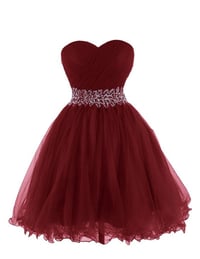 Image 1 of Beautiful Wine Red Short Tulle Homecoming Dresses, Short Prom Dresses, Party Dresses