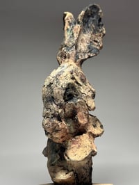 Image 2 of “Leroy”