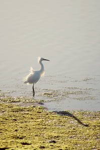 Image of Fall Art Classes Sept.-Oct. 2017