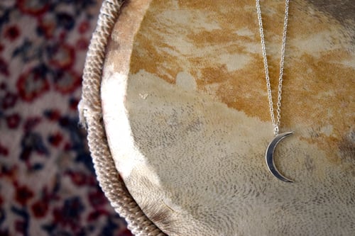 Image of The Crescent Moon Necklace