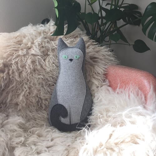 Image of the Housecat