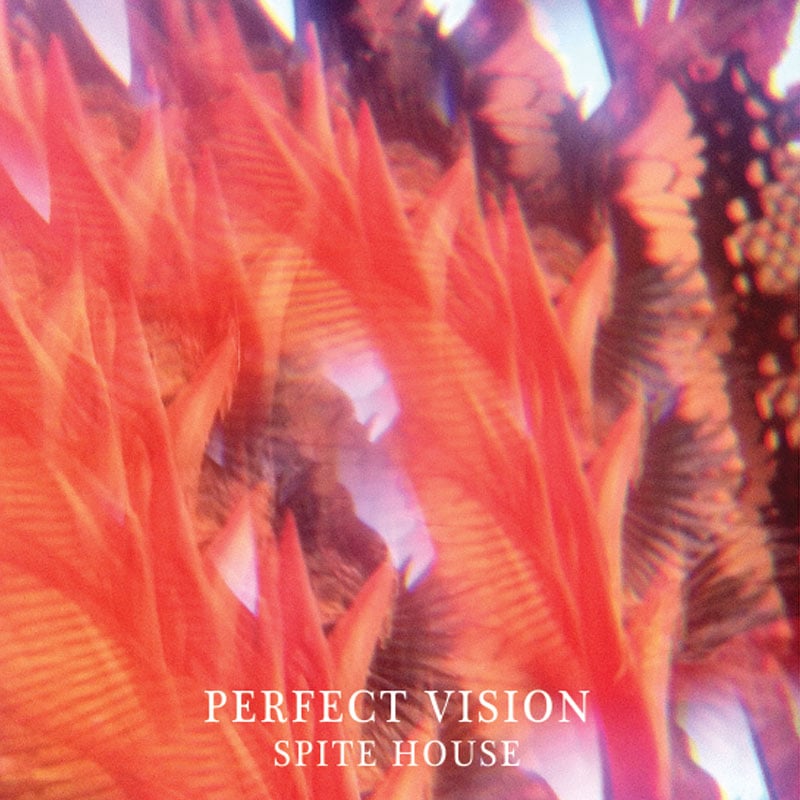 Image of SPITE HOUSE - 'Perfect Visions' EP