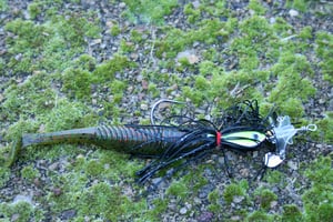 Image of Angel bait (5 inch paddle tail)
