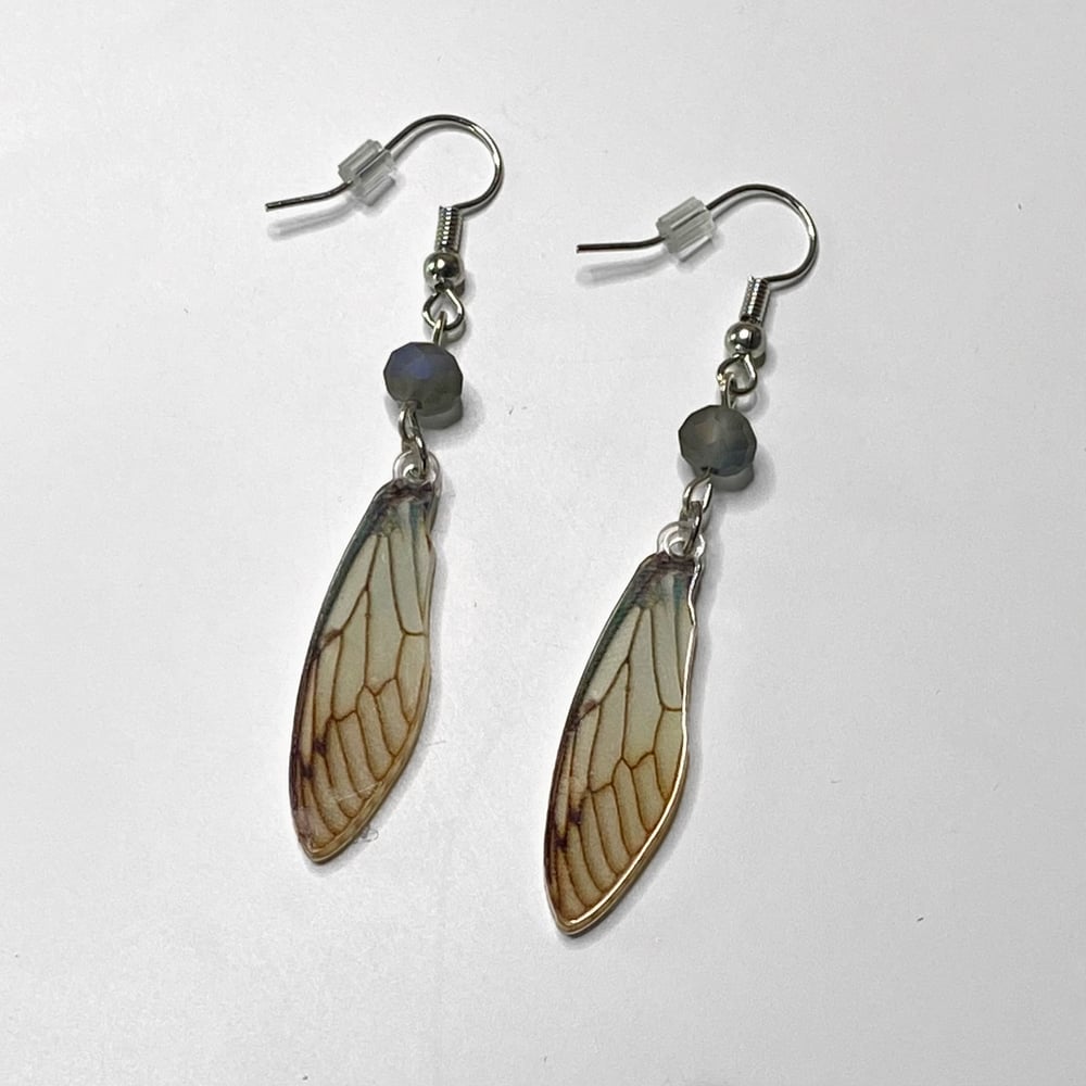 Image of fairy wing earrings