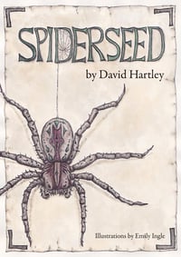 Spiderseed