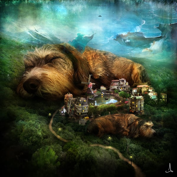 "Sleeping Dogs" - Alexander Jansson Shop