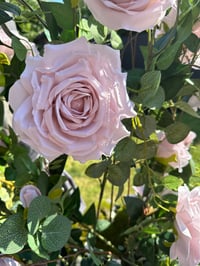 Image 3 of CONCRETE COLLECTION Rose arrangement in planter 