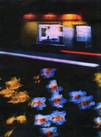 Image 4 of NIGHT DRIVE, DAFFODILS III