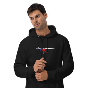 Image of Texas Raptor Hoodie