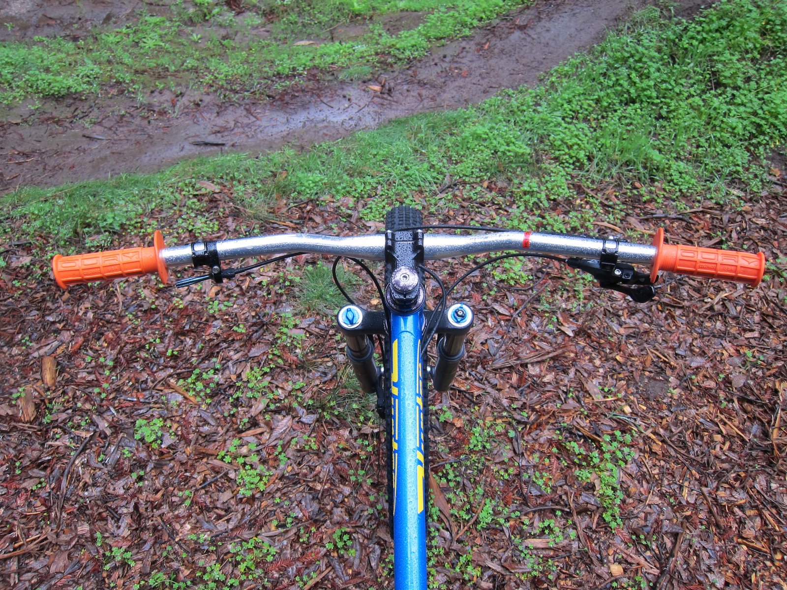 Silver mountain bike online handlebars