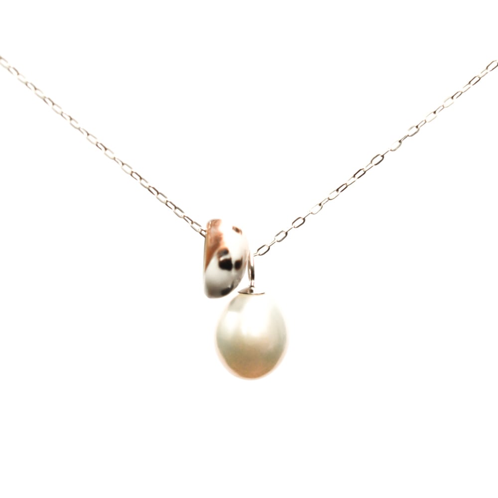 Image of Puka shell necklace cultured freshwater pearl