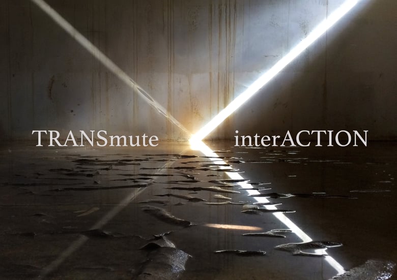 Image of TRANSmute\interACTION