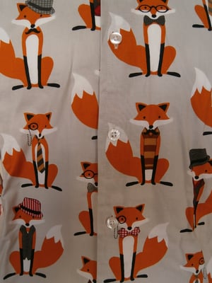 Image of gentlemen foxes