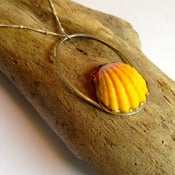 Image of large sunrise shell in 14Kt and silver oval necklace