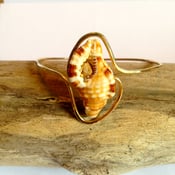 Image of triton shell bangle in gold fill