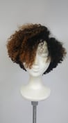 Image of Ombre Curly Tapered Custom Made Wig