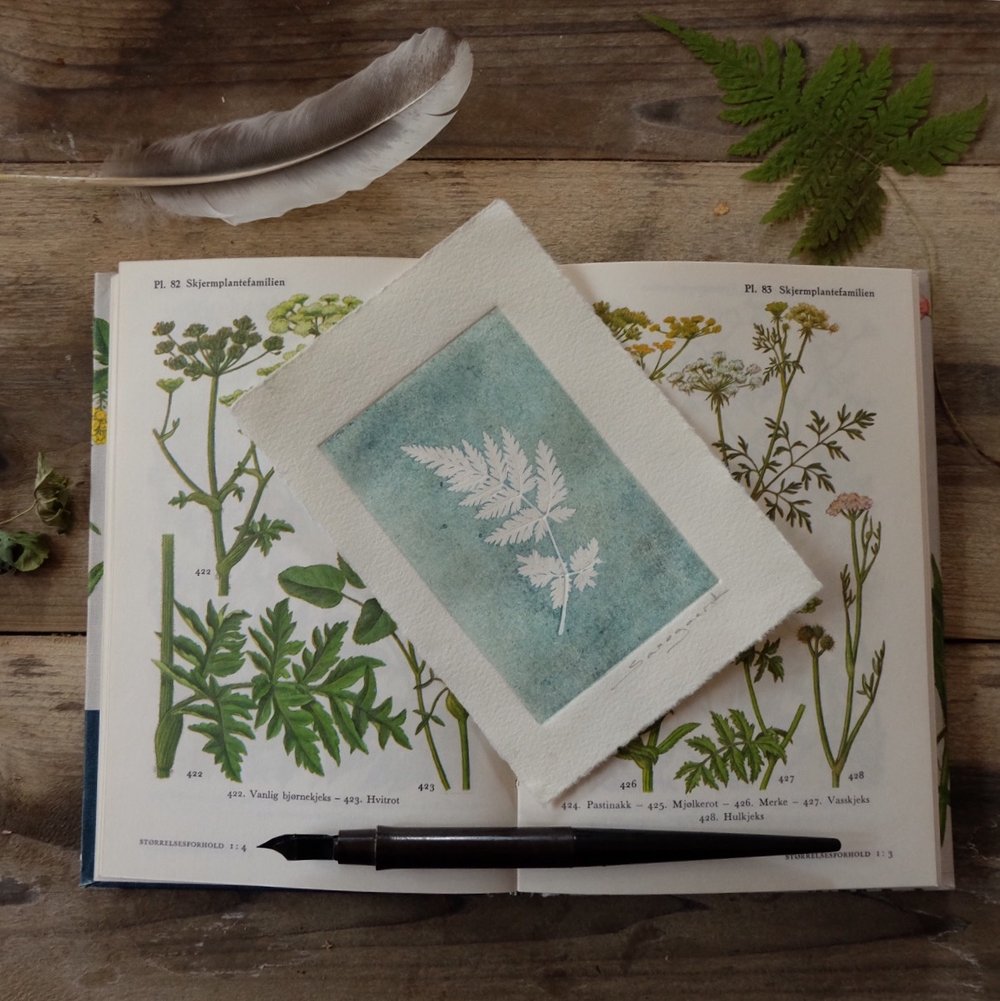 Image of Botanical print, Fern