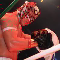 Image 1 of Dragon Lee - THE MASK Worn In CMLL 83rd Ann. Mask vs. Mask Match