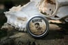 MOUSTACHE WAX - All Natural 1oz. Tin (choose your scent)