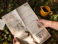 Image 4 of Squirrel Census 2016 Report & Map