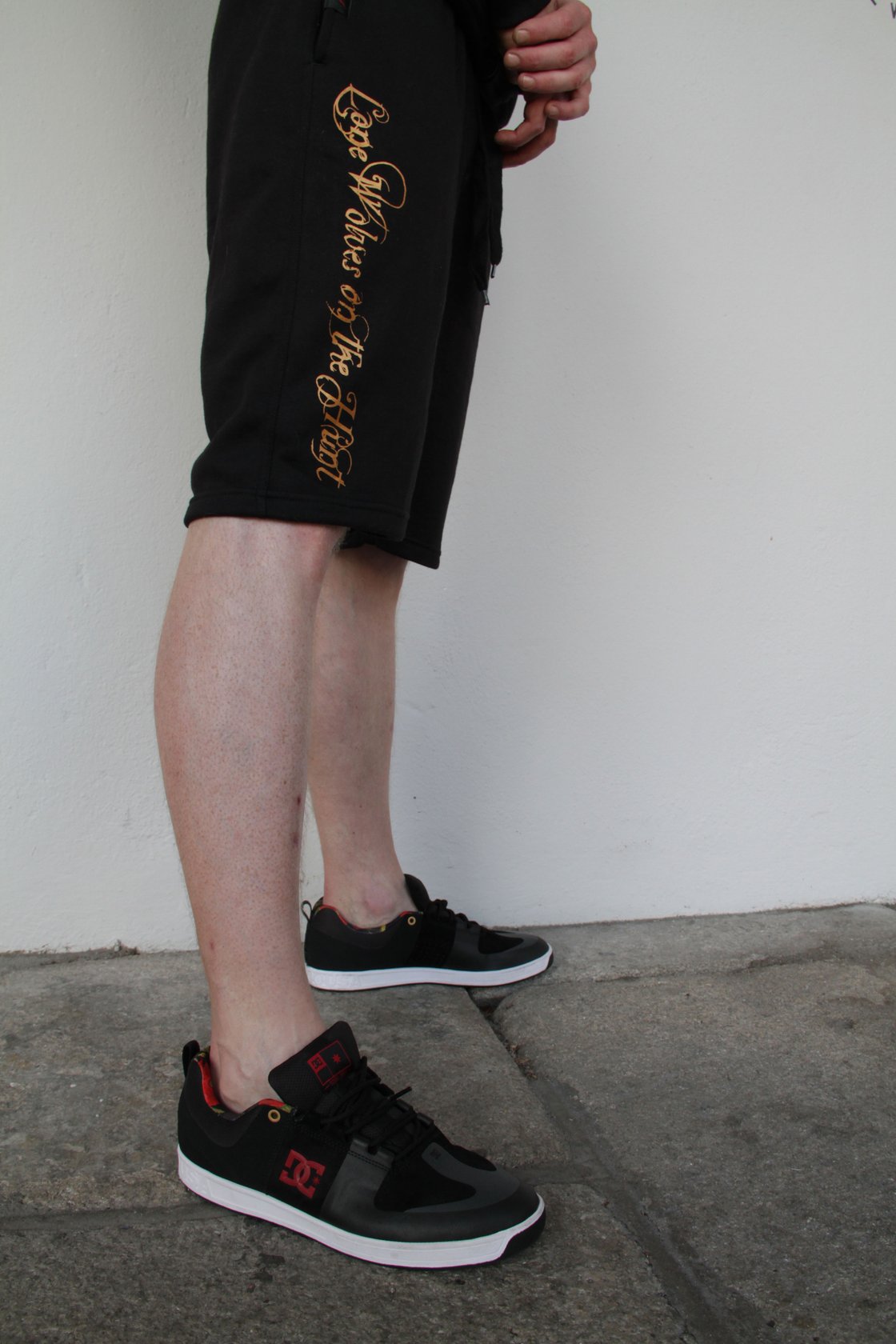 Image of Hell or Win Mens Shorts