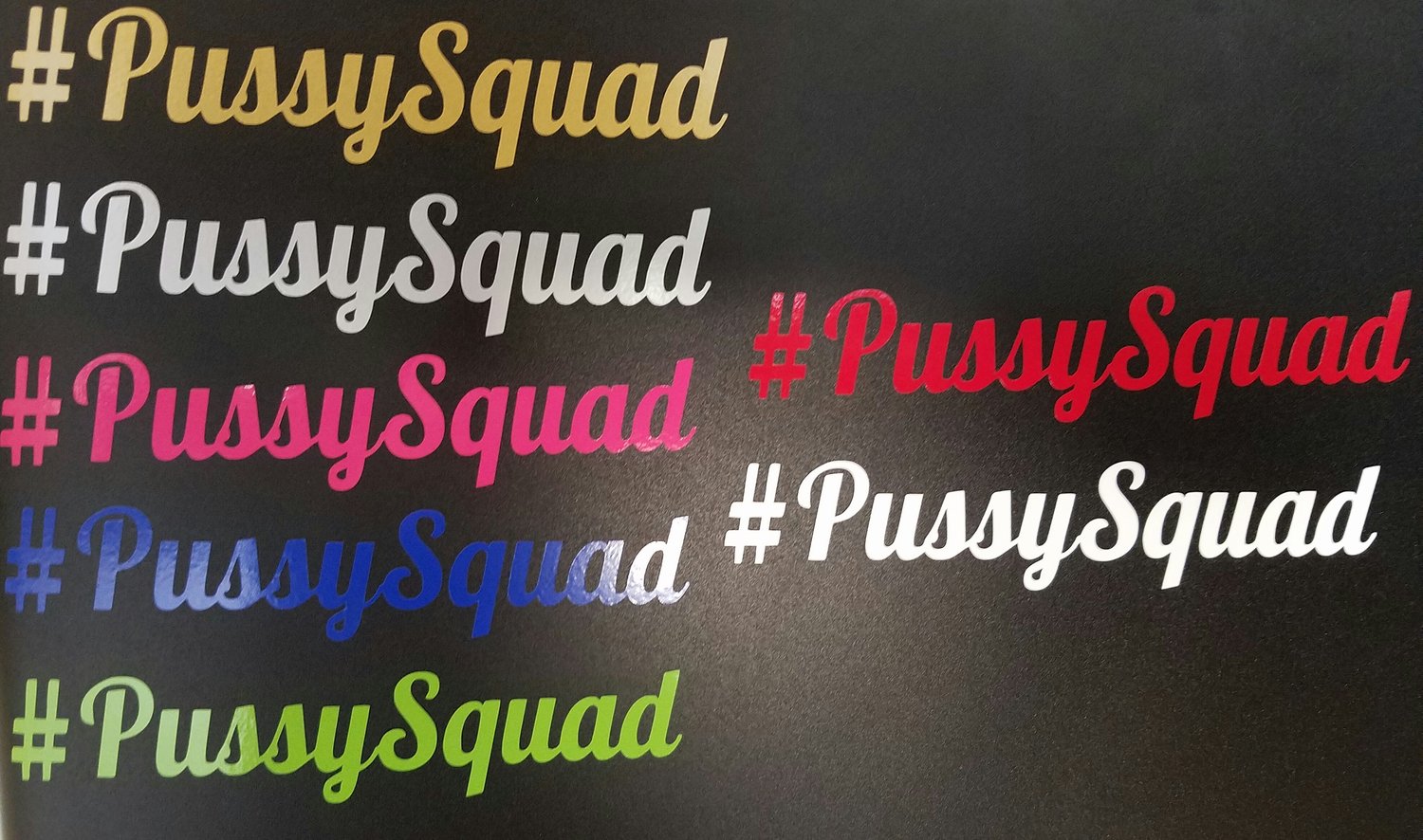Image of #PussySquad Sticker