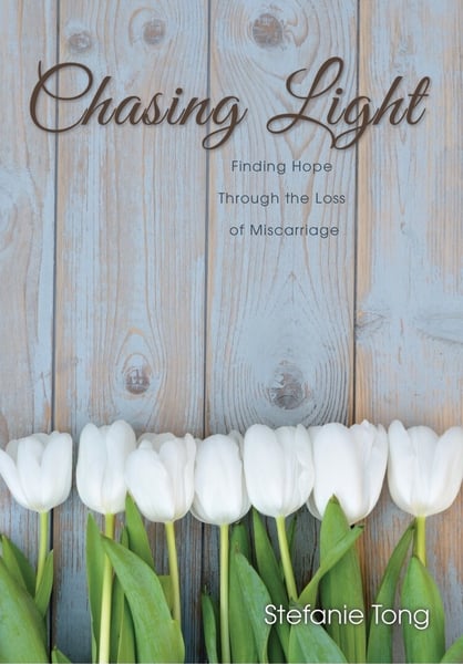 Image of Chasing Light Book