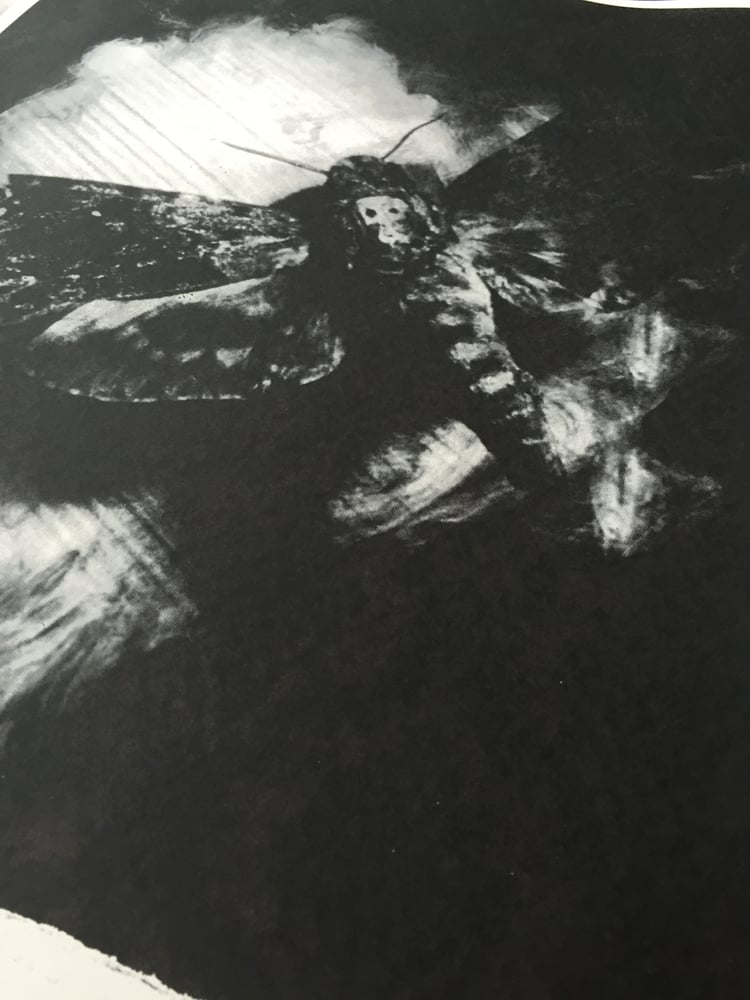 Image of "Moth" Art Print