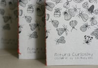 Image 2 of Natural Curiosity Colouring Book