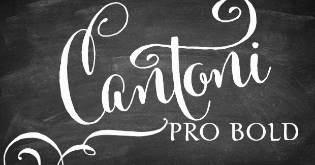 Image of Cantoni Pro Bold