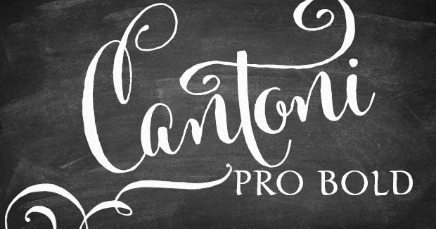 Image of Cantoni Pro Bold 