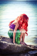 Ariel Inspired Set