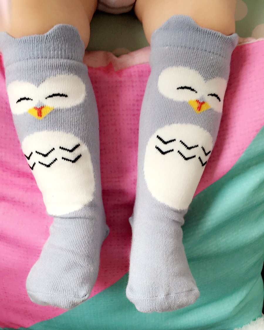 Image of Grey Owl Socks