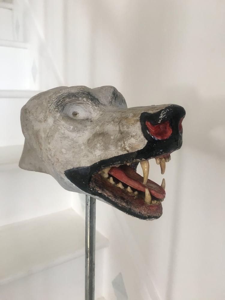 Image of vintage taxidermy paper mache head
