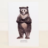 Spectacled Bear Mini Card