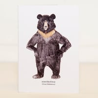 Asian Black Bear Mini Card