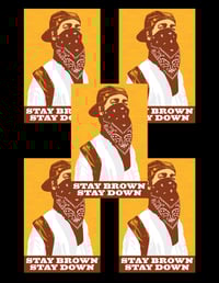 Stay Brown, Stay Down Sticker