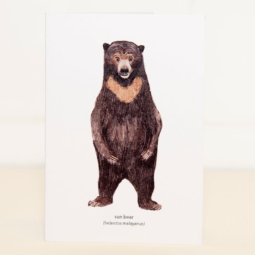 Image of Sun Bear Mini Card