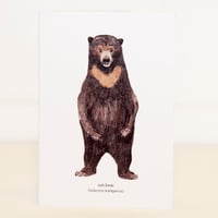 Sun Bear Mini Card