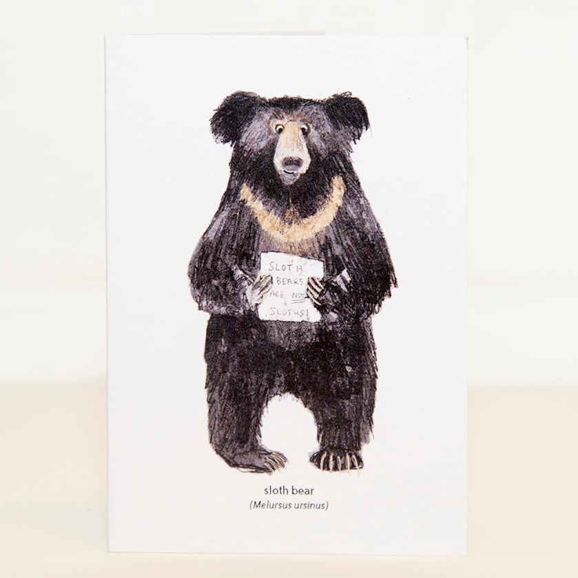 Image of Sloth Bear Mini Card
