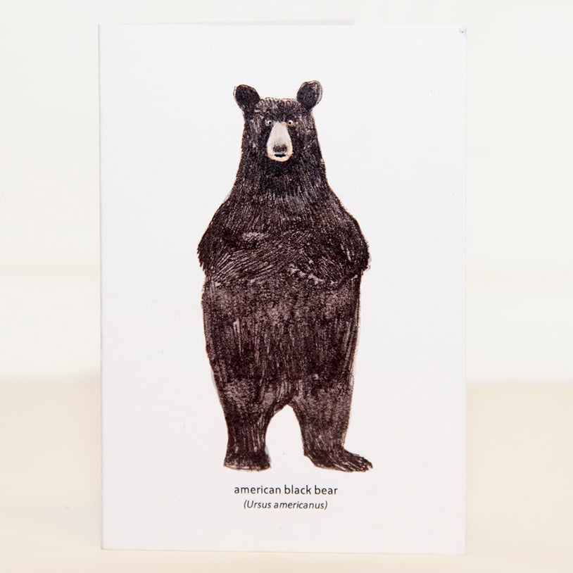 Image of North American Black Bear Mini Card