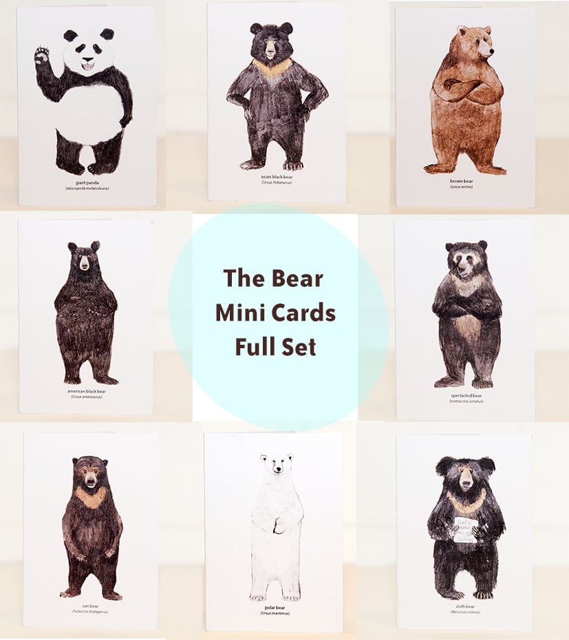Image of The Bear Mini Cards Set