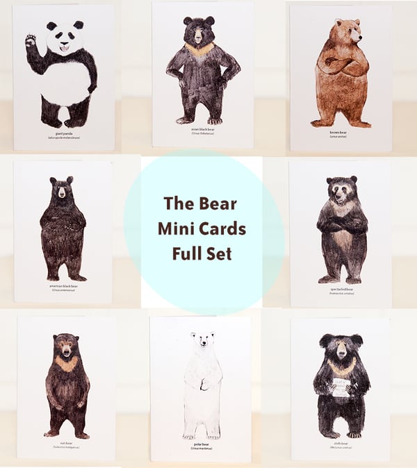 Image of The Bear Mini Cards Set