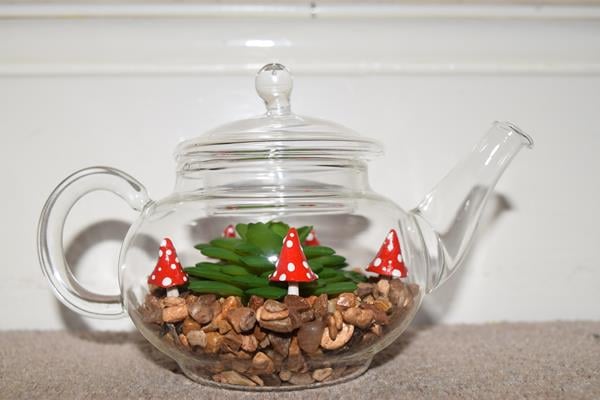 Image of Glass teapot terrarium - a magical, miniature world