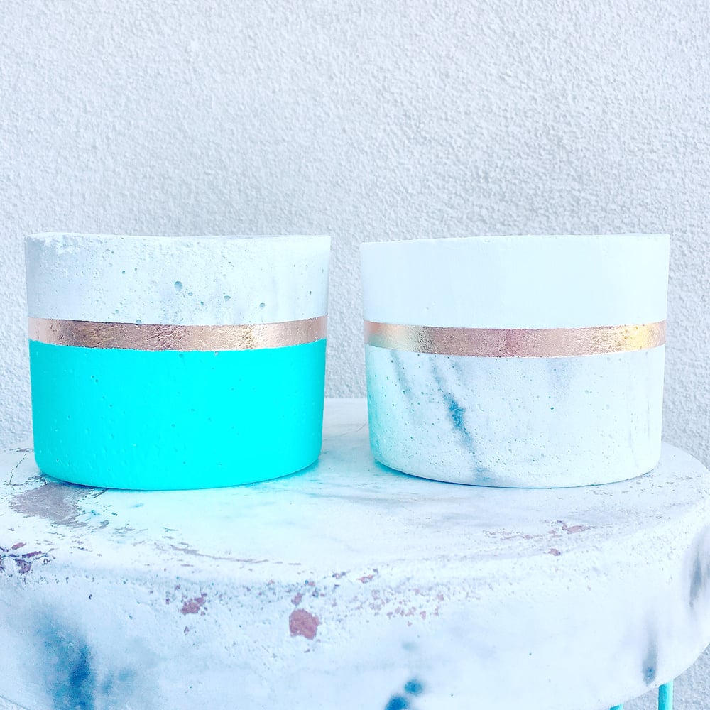 Image of Mintie Medium Round Concrete Planters