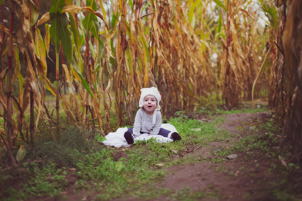 Image of Pumpkin Patch Mini Session